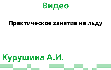 Практическое занятие на льду (Курушина А.И.)